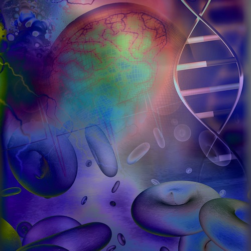 Abstract: Use of the Microbiome as a Biomarker to Identify Patients with Colorectal Polyps