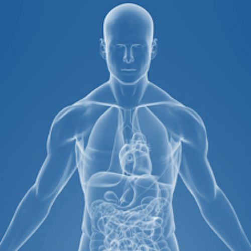 New Health Sciences Frontiers in Metagenomics and the Human Microbiome